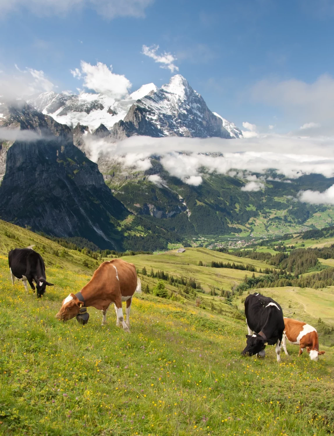 Paysage_savoie_randonnée